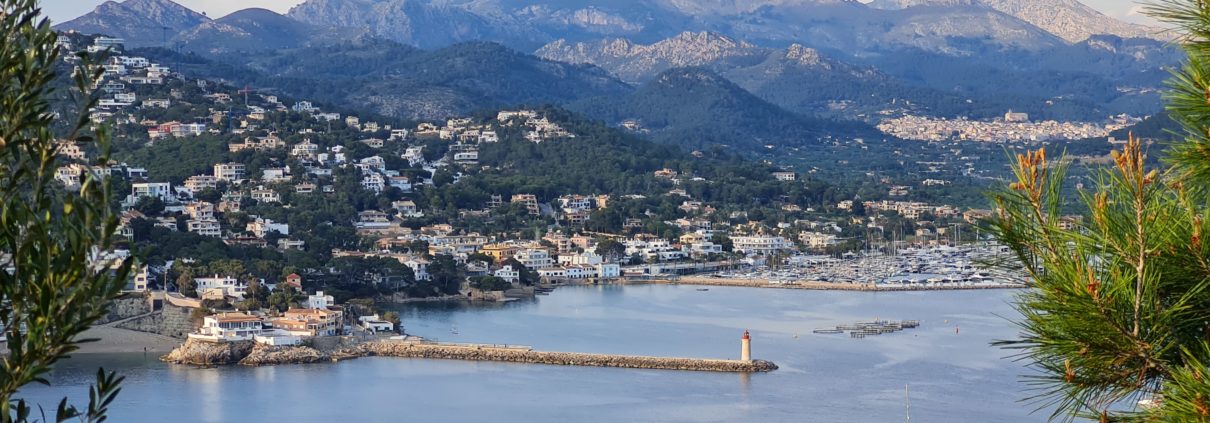 Qué ver en Andratx - Vista del Puerto